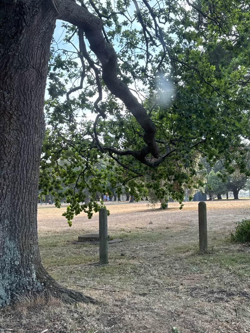 walking near me in Ross Watt Reserve in summer
