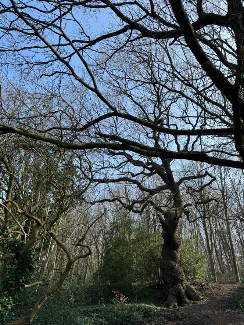 walking near me in Springhead Park, Rothwell in spring