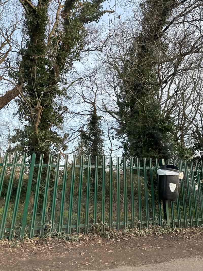 walking near me in Outwood Park in spring