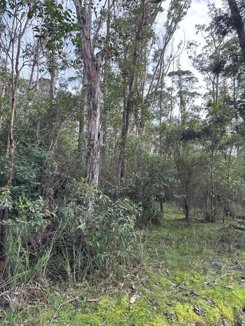 walking near me in Lysterfield Park in winter