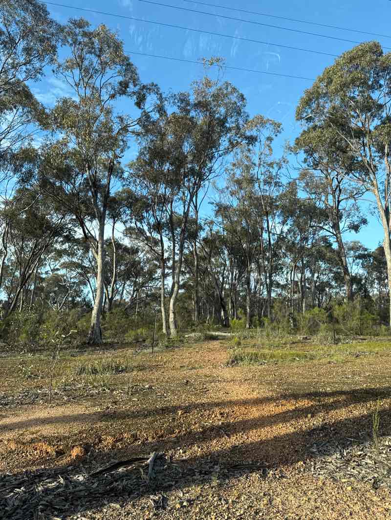 walking near me in Toolleen Highway Park in winter