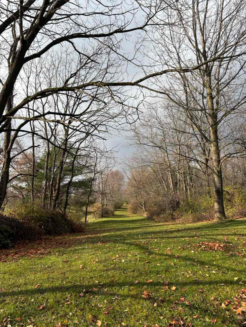 walking near me in Tom Tudek Memorial Park in autumn