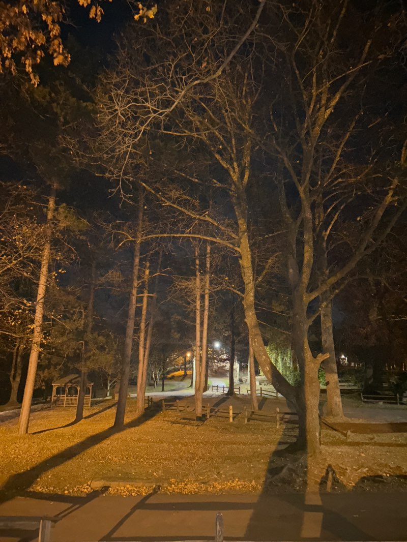 walking near me in Thompson Park in autumn
