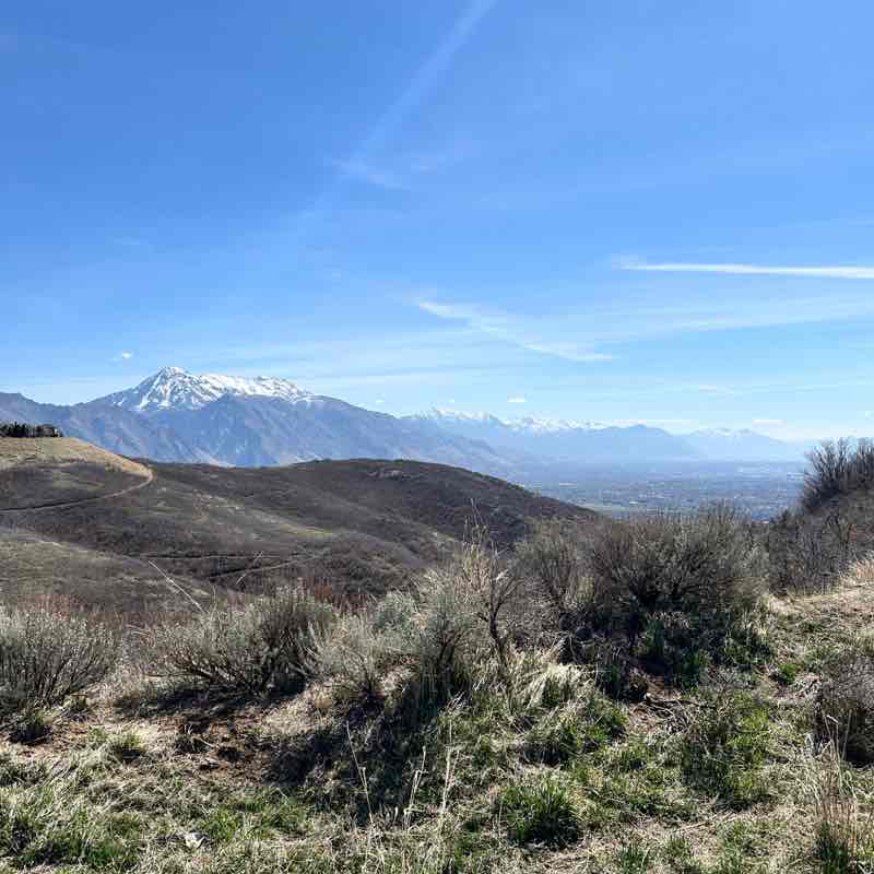 jeff🏃‍♂️⚖️♎️☮️🏈⚾️🎱 post 3