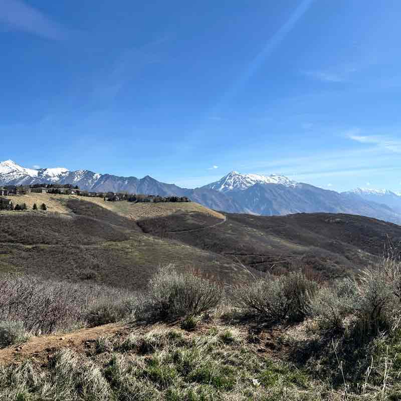 jeff🏃‍♂️⚖️♎️☮️🏈⚾️🎱 post 2