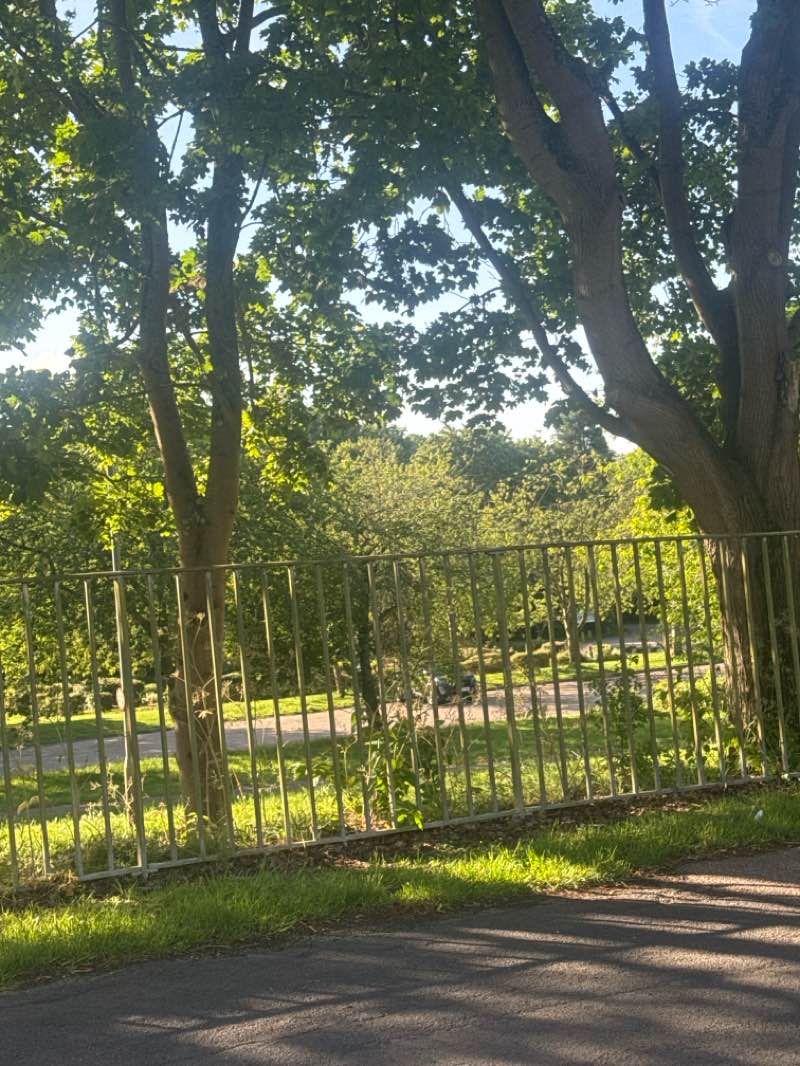 walking near me in The Green in summer