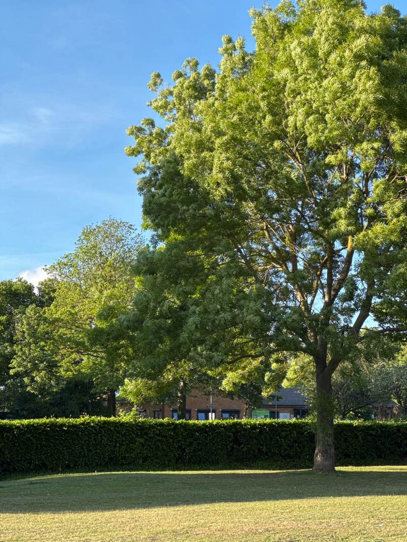 walking near me in Hampson Park in summer