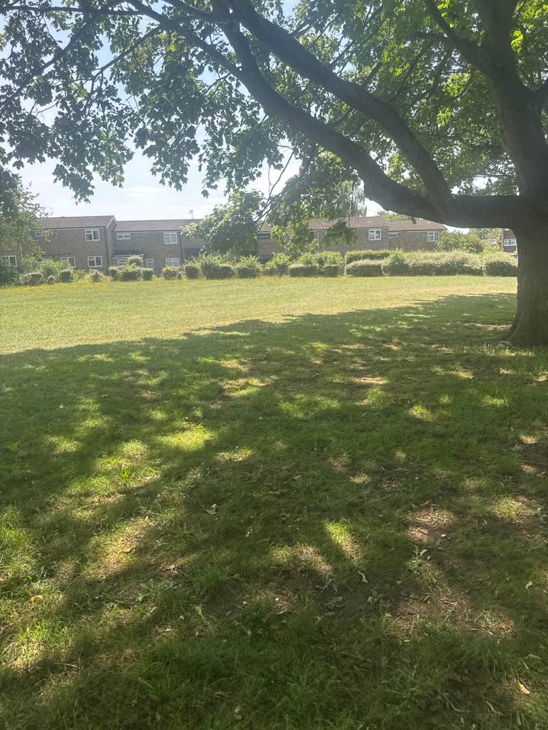 walking near me in The Green in summer