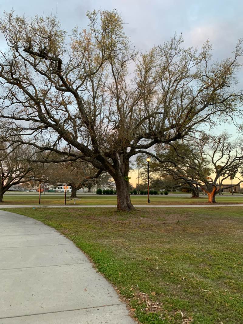 walking near me in Jones Memorial Park in winter