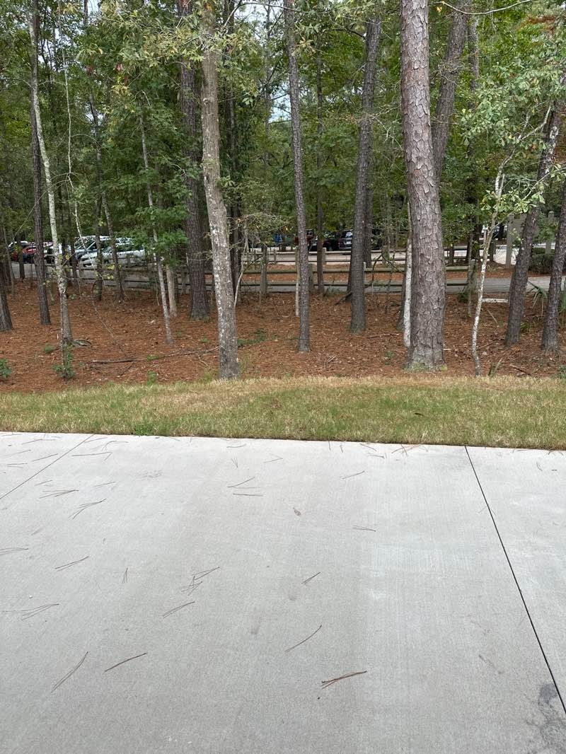 walking near me in North Charleston Wannamaker County Park in autumn