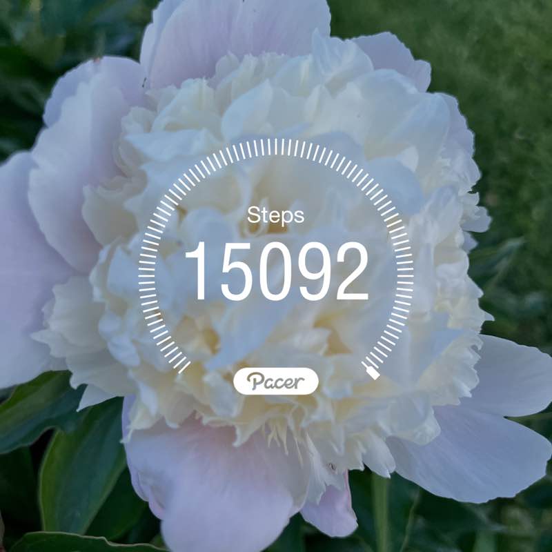 🔥RunnuR🔥🏃🏿‍♀️🔥 post 1