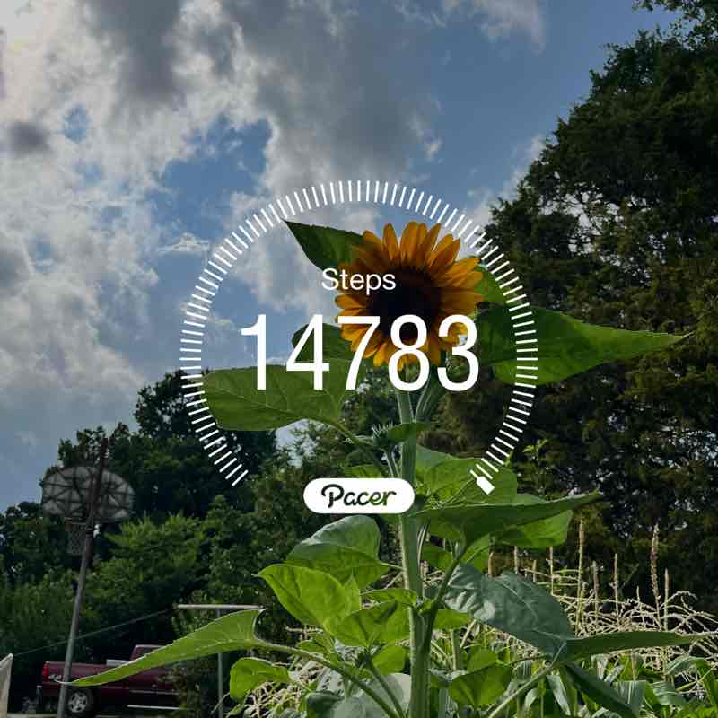 🔥RunnuR🔥🏃🏿‍♀️🔥 post 1