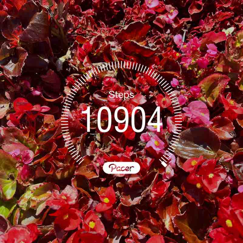 🔥RunnuR🔥🏃🏿‍♀️🔥 post 1