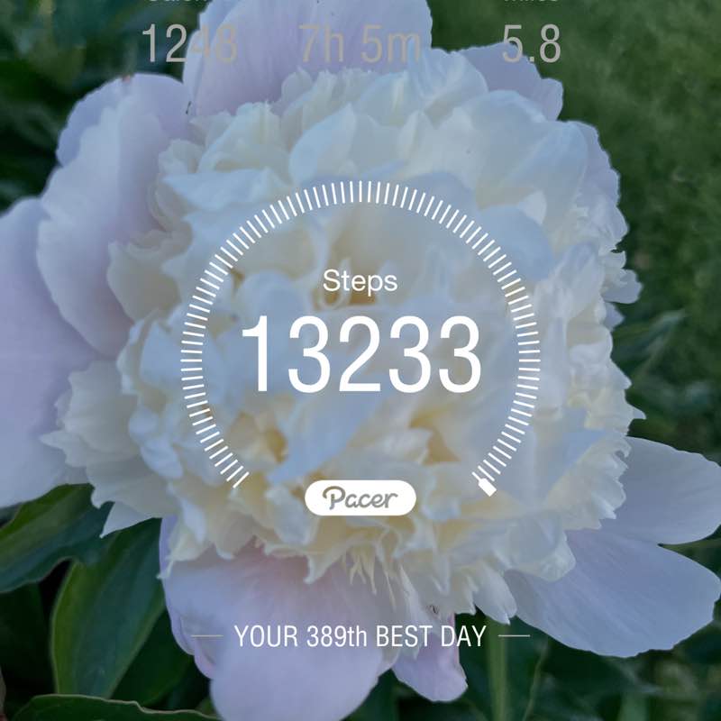 🔥RunnuR🔥🏃🏿‍♀️🔥 post 1