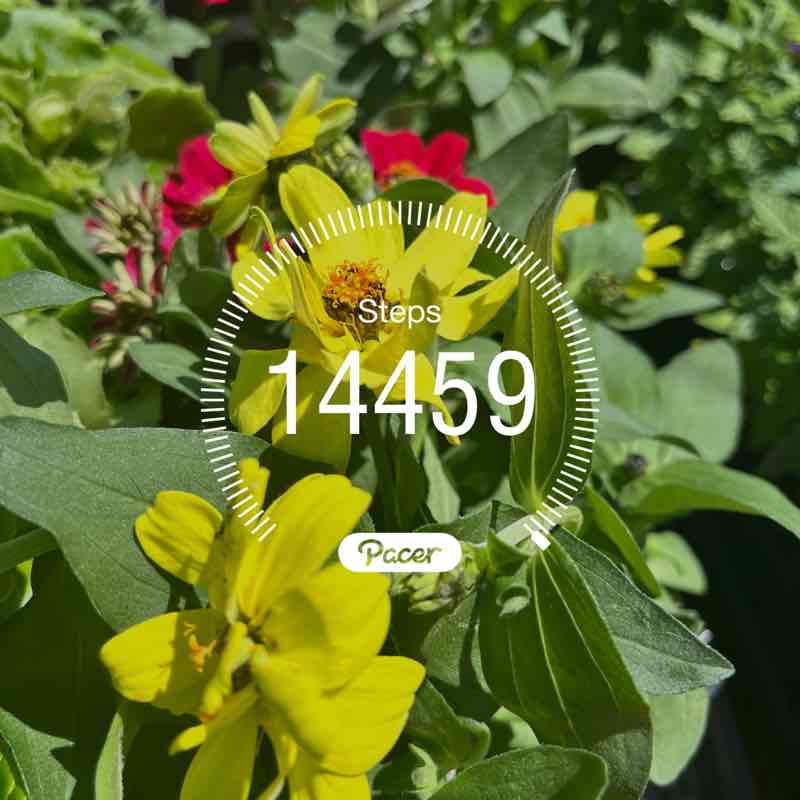 🔥RunnuR🔥🏃🏿‍♀️🔥 post 1