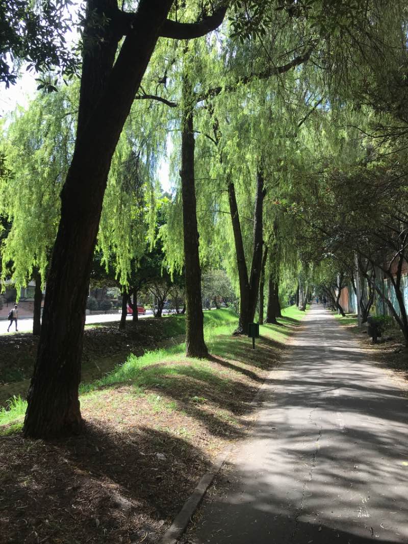 walking near me in Parque El Virrey in winter