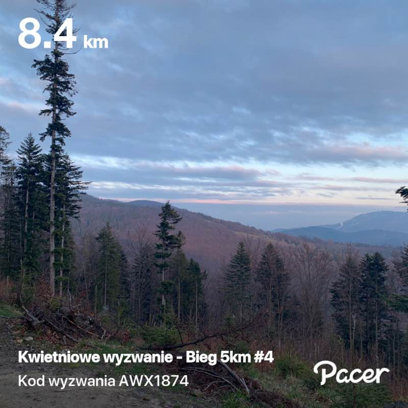 zdziebczok.pl post 1