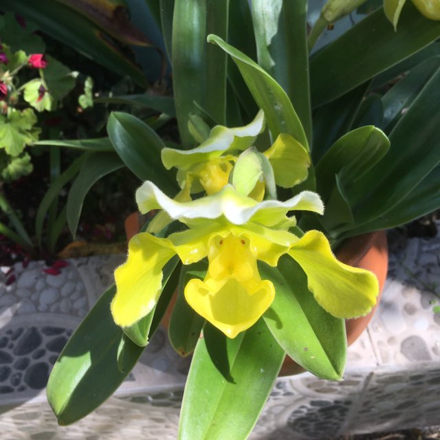 Lili 🤩🌷 post 2