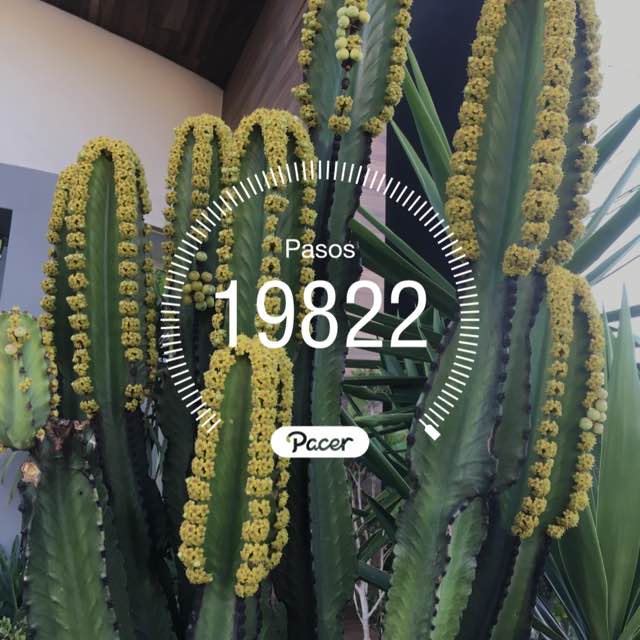 Lili 🤩🌷 post 1