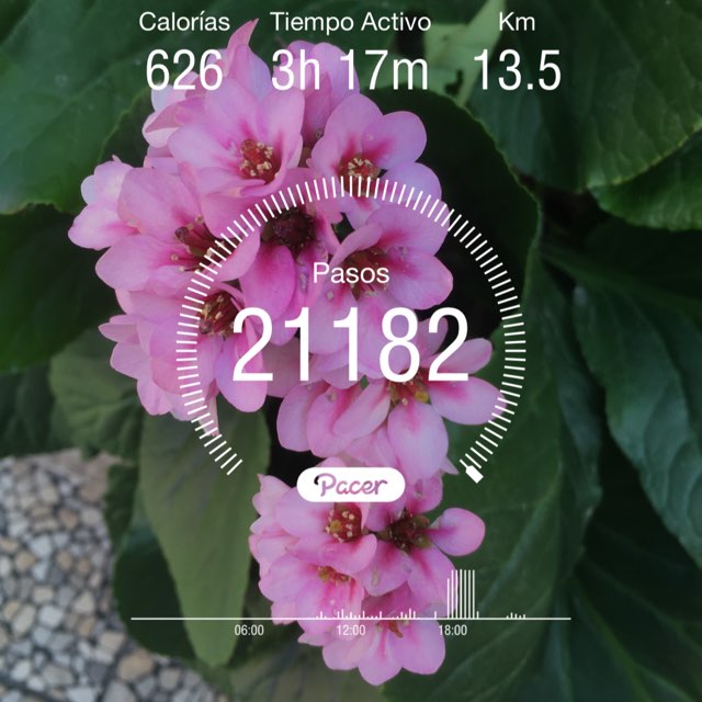 Lili 🤩🌷 post 1