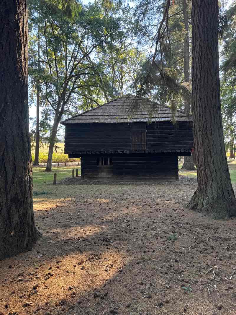 walking near me in Fort Borst Park in autumn