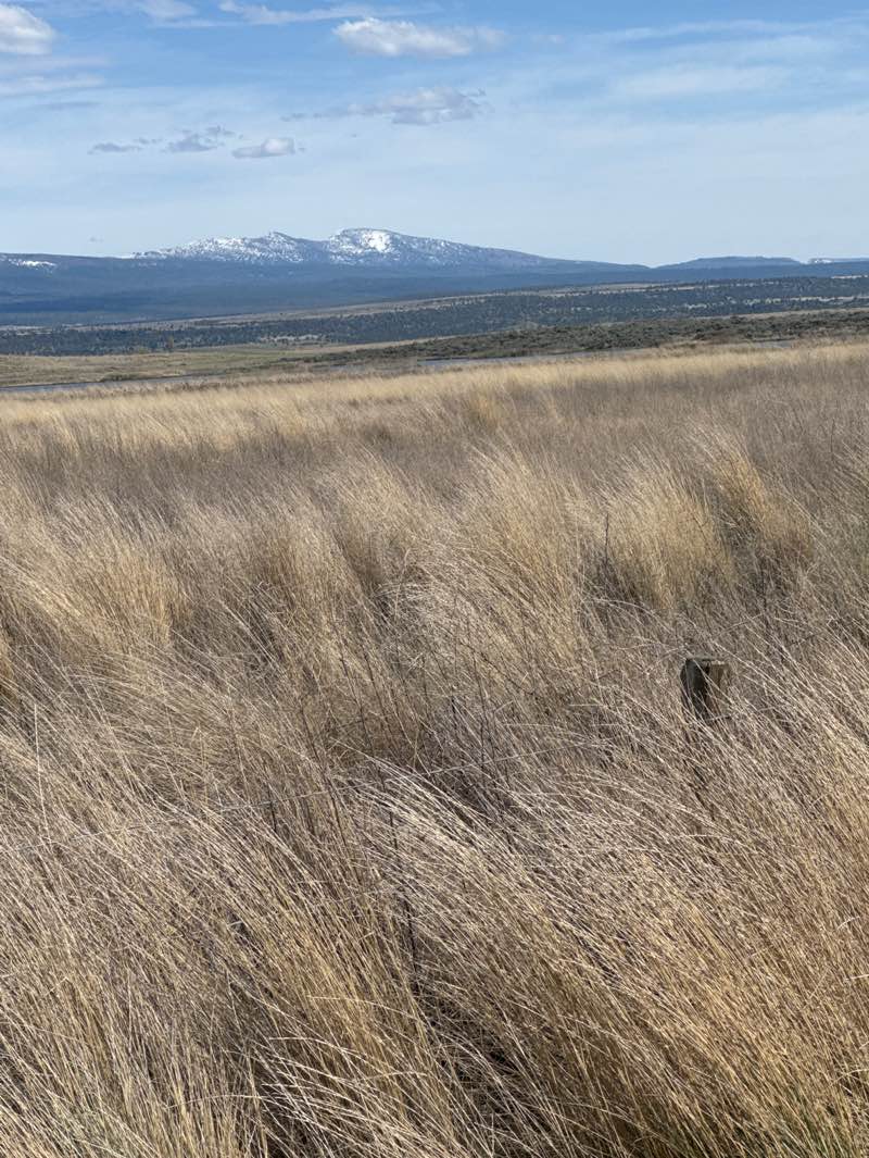 walking near me in Modoc National Wildlife Refuge in spring