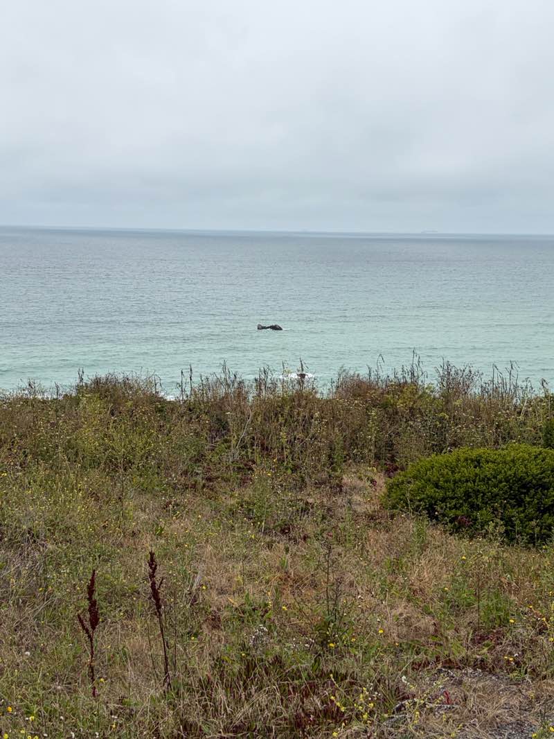 walking near me in Mussel Rock City Park in summer