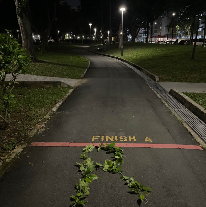 Shiela03🏃‍♀️🏃‍♀️🏃‍♀️ post 2