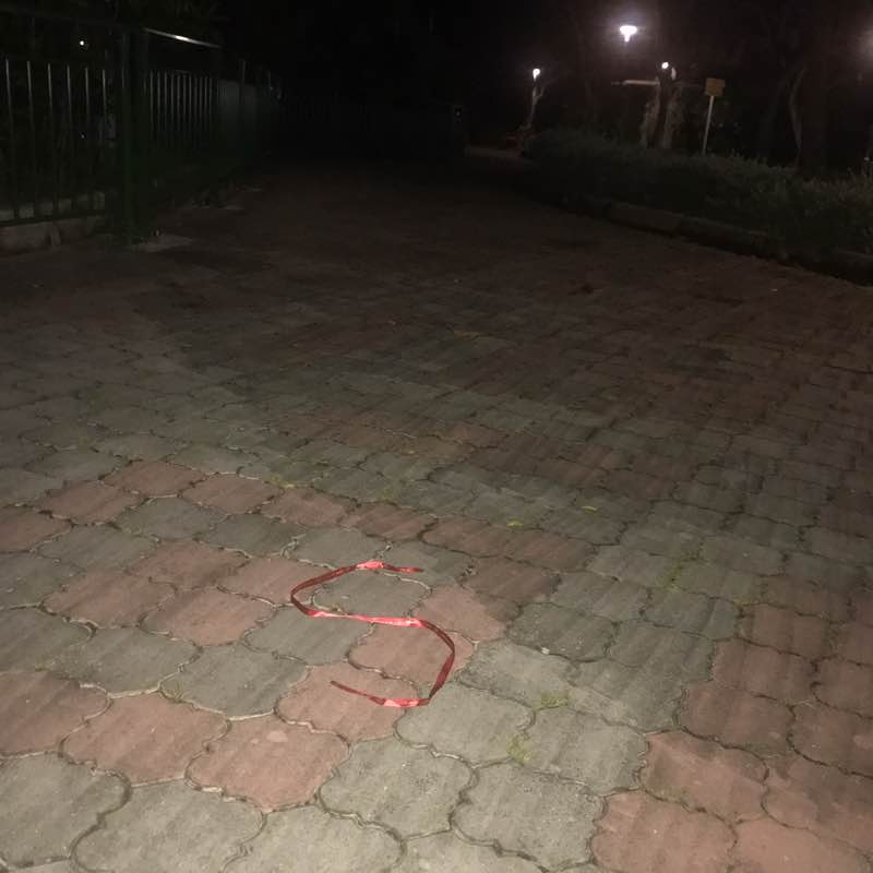 Shiela03🏃‍♀️🏃‍♀️🏃‍♀️ post 1