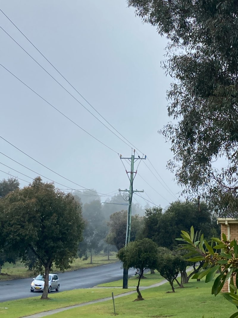 walking near me in Monument Hill Parklands in summer