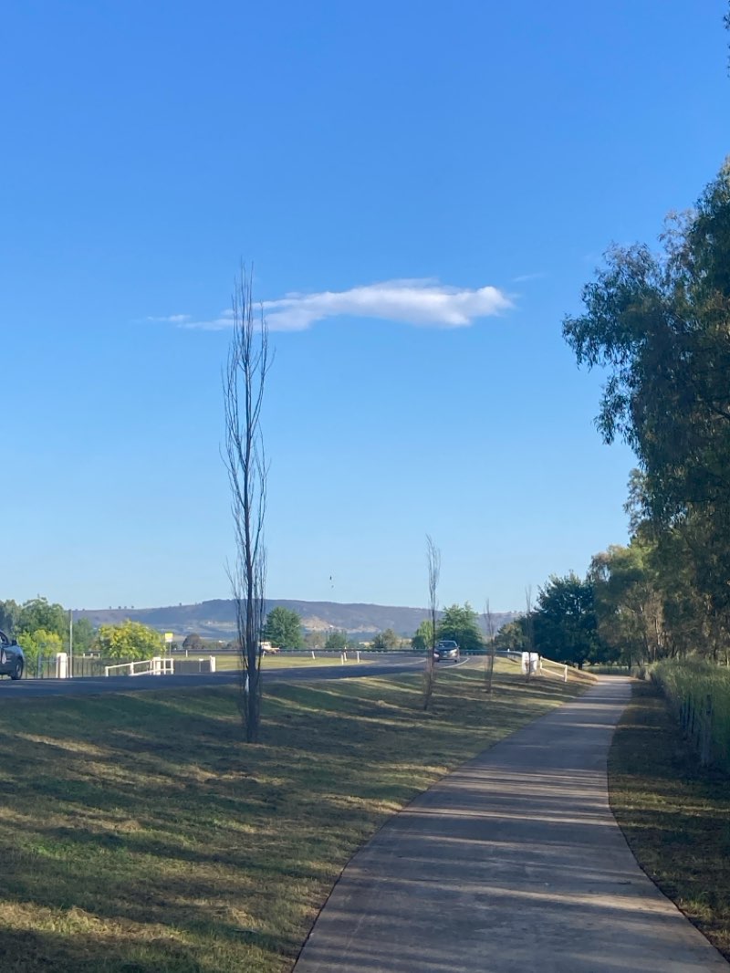 walking near me in Victoria Park in summer