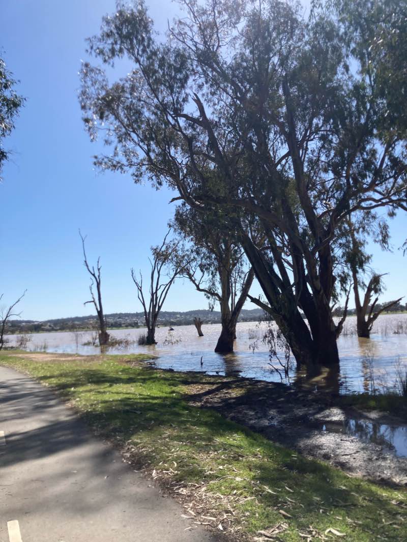 walking near me in White Reserve in summer