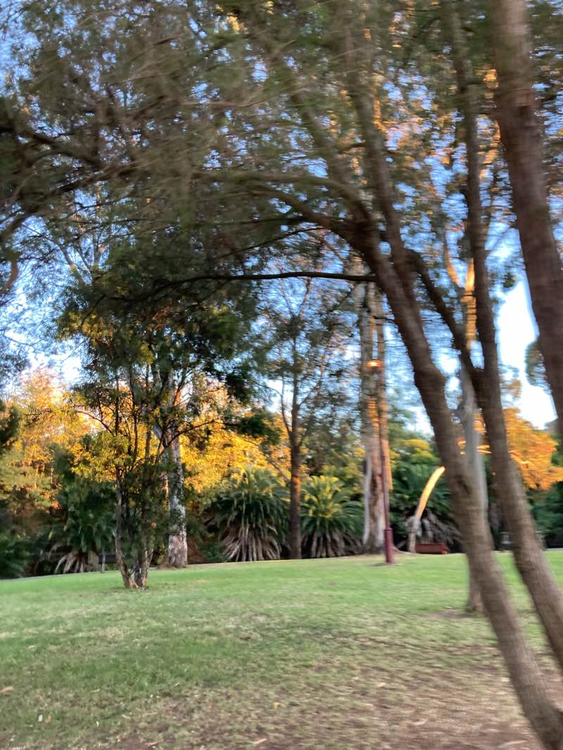 walking near me in Apex Park in summer