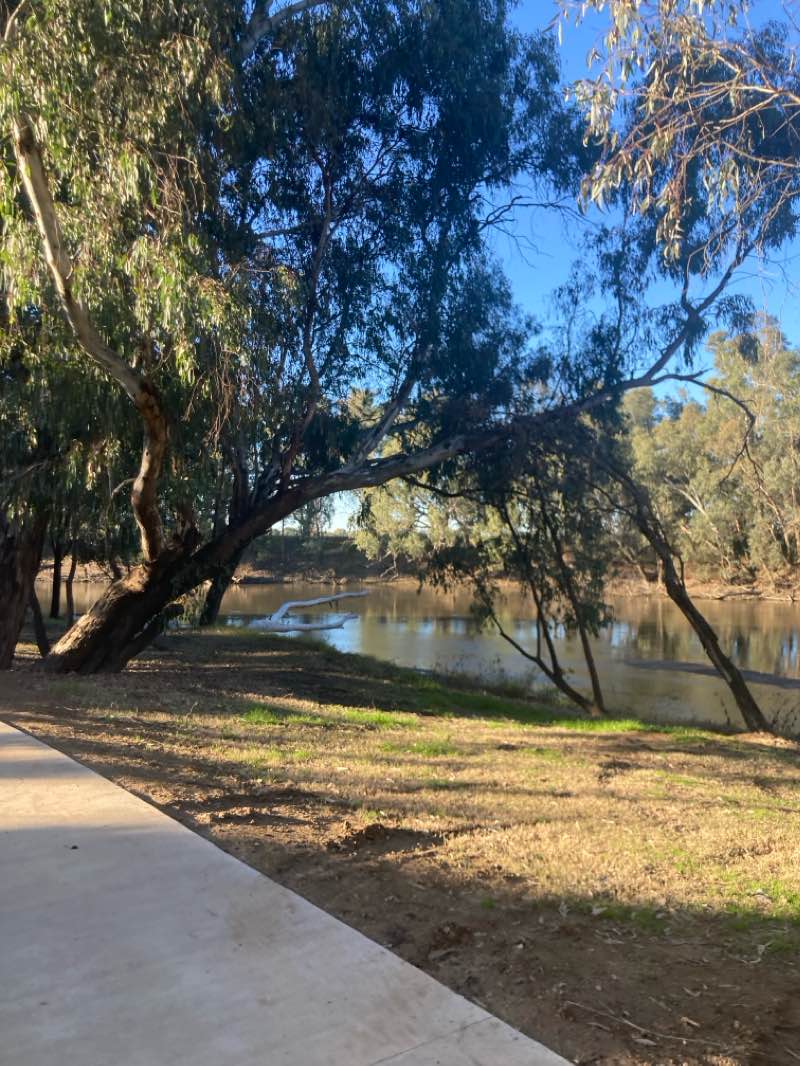 walking near me in Wagga Wagga Civic Precinct in summer
