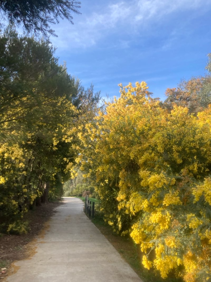 walking near me in Jubilee Park in summer