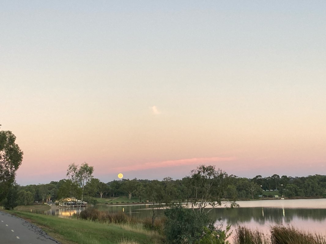 walking near me in Apex Park in summer