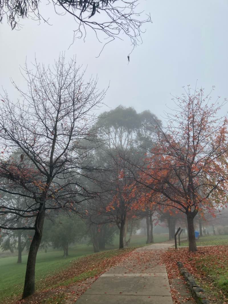 walking near me in King's Parade in autumn
