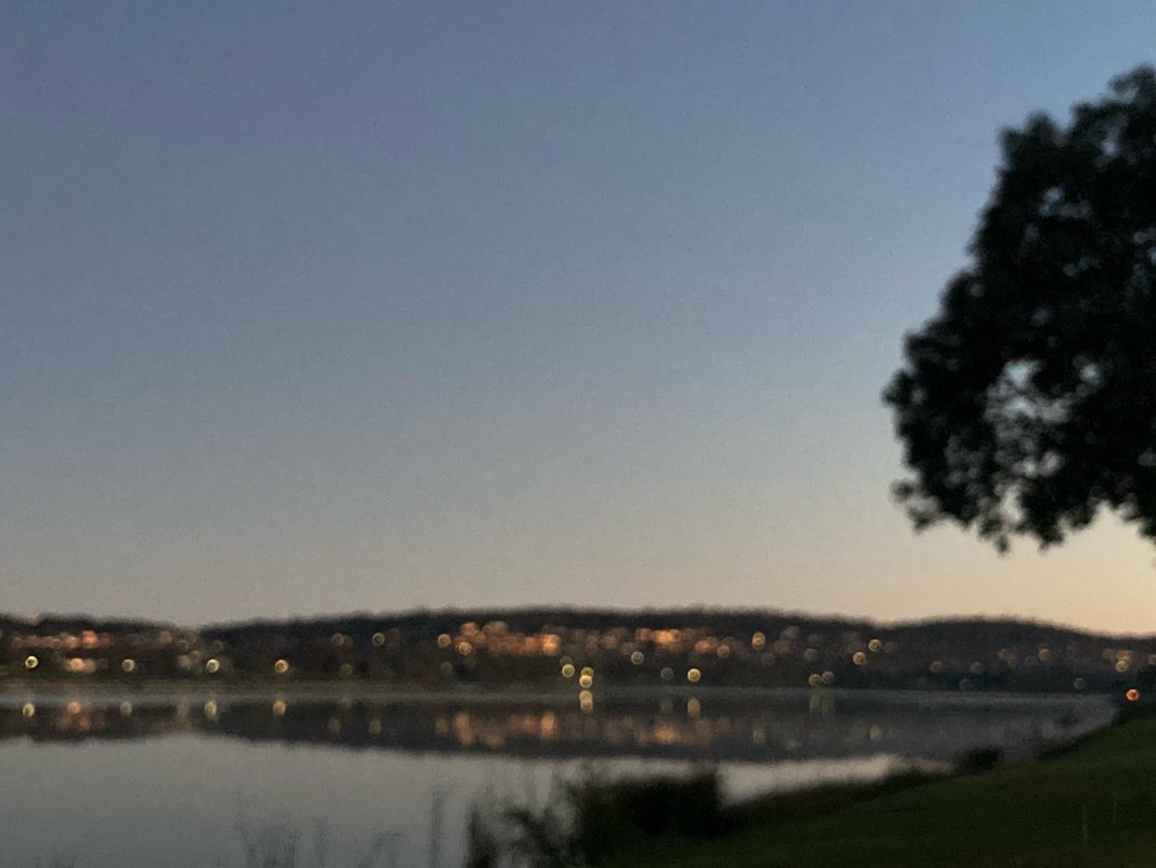 walking near me in Ron Wheeler Park in spring