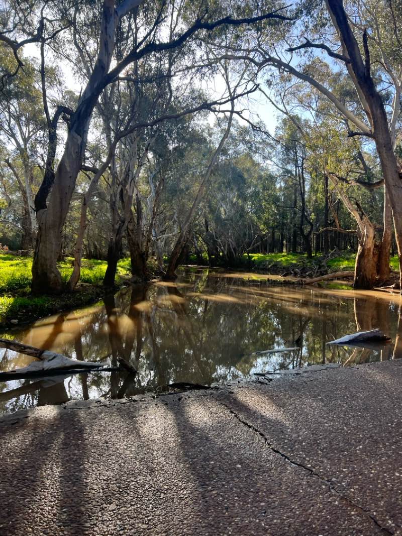 walking near me in Stewart Park in winter