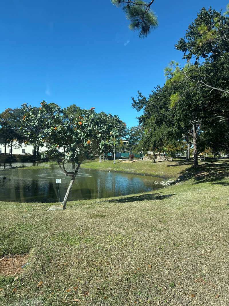 walking near me in Reflections Park in autumn