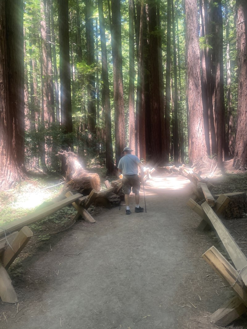 walking near me in Armstrong Redwoods State Natural Reserve in winter