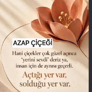 Azap icon