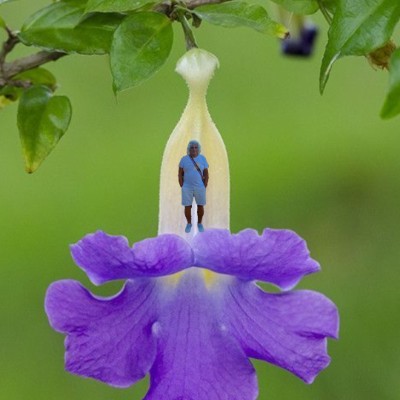 January 5k Race #4 Ahmet Teacher post image