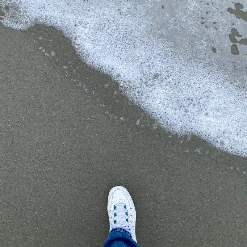 Judy👣 icon