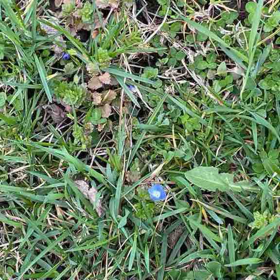 💐💜SPRING FITNESS💜💐 Judy👣 post image