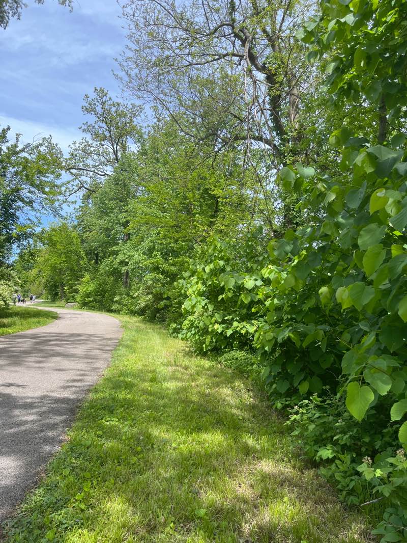 walking near me in County Park in spring