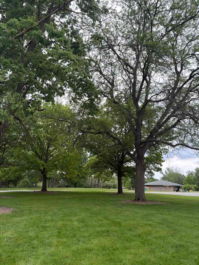 walking near me in Miller Park in summer