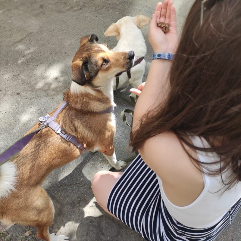 🎨Кучинова Виола