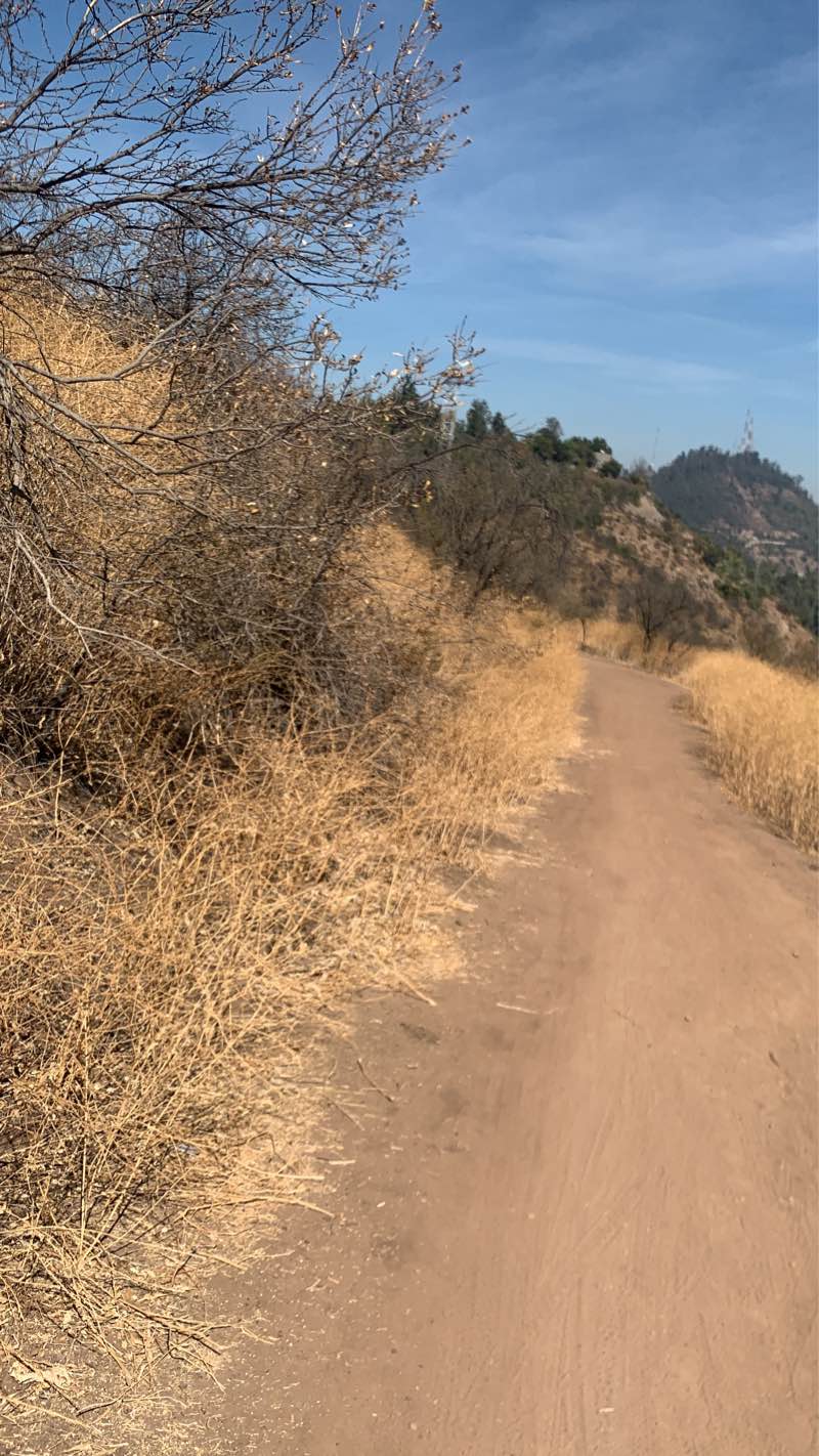 walking near me in Mapocho 42K in summer