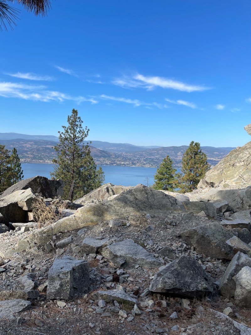 walking near me in Rotary Park in winter
